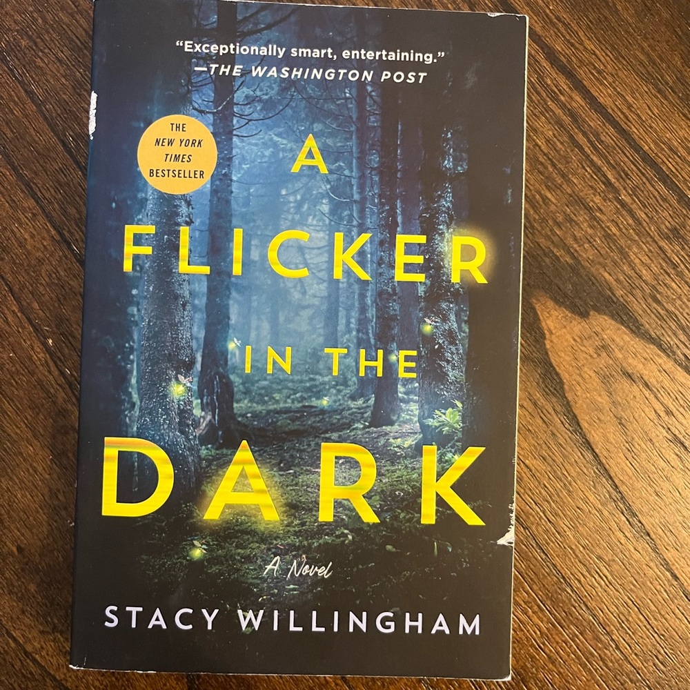 A Flicker in the Dark by Stacy Willingham